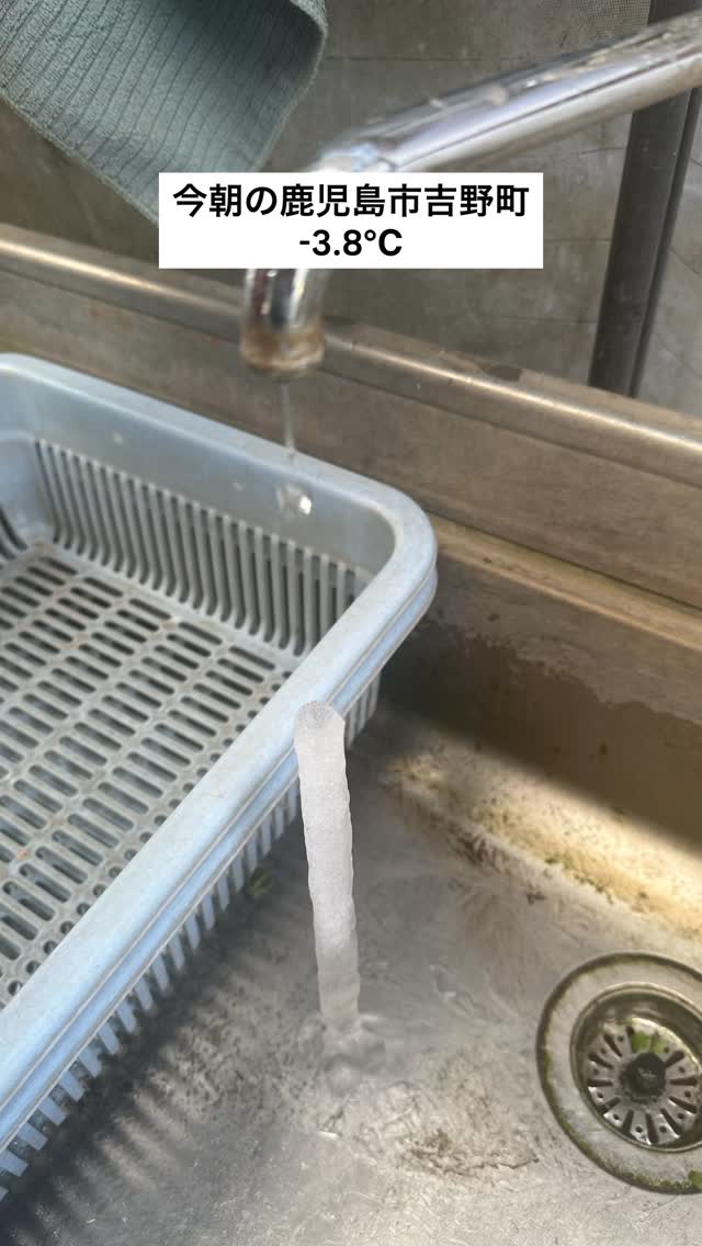 今朝は寒かった〜🥶
体調崩しやすい季節、皆様ご自愛ください。

#マルタカ菜園 #冬 #農園